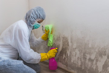 Mold Removal