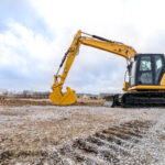 The Role of Land Clearing in Development Projects